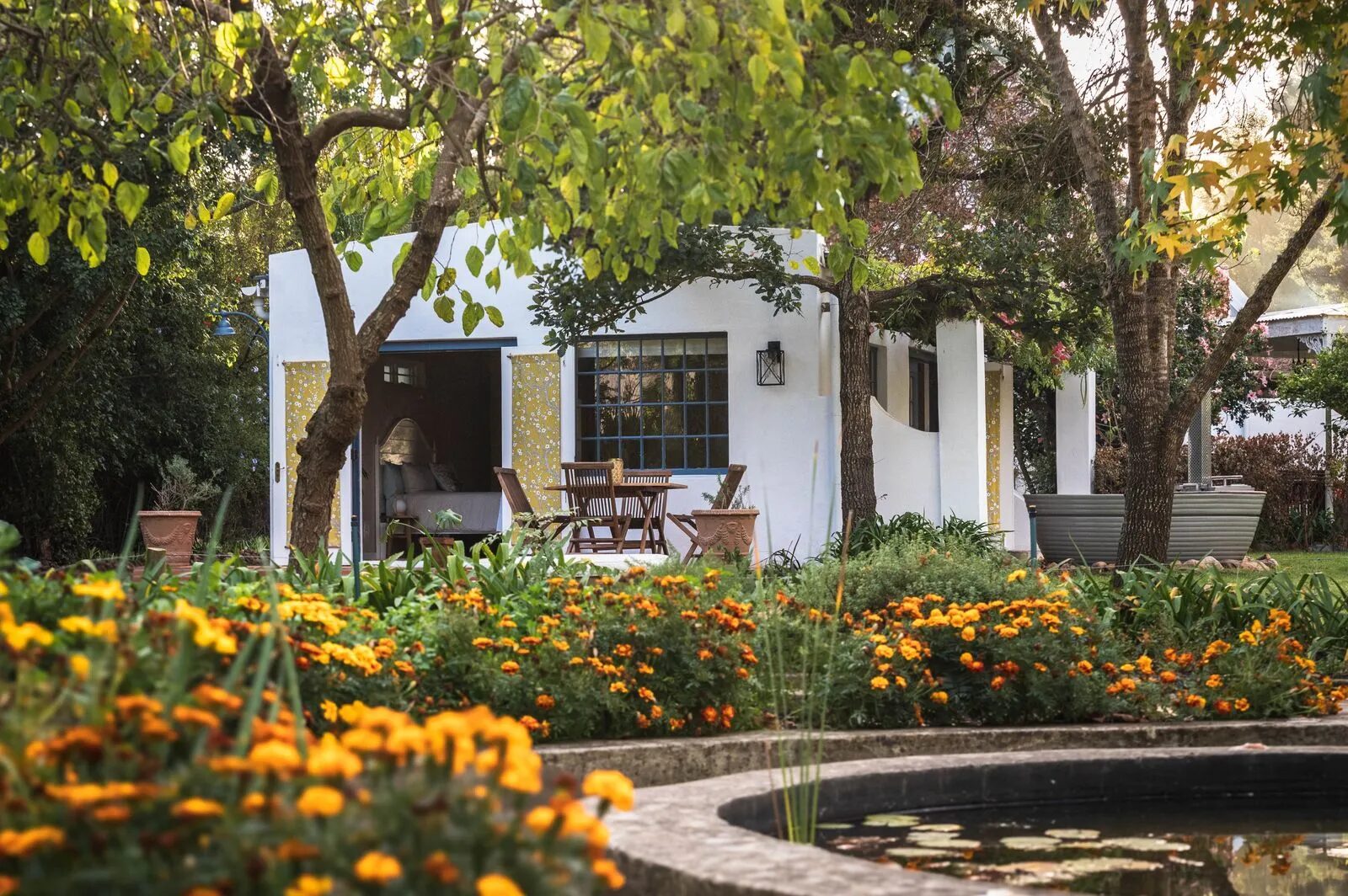 The Greyton cottage at golden hour, marigolds and pond in the foreground